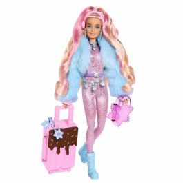 Muñeca Barbie Extra Fly Nieve Hpb16 Mattel