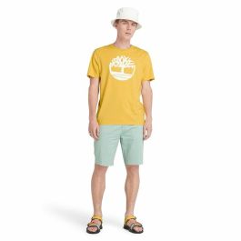 Camiseta de Manga Corta Hombre Timberland Kennebec River Tree Logo Short Amarillo