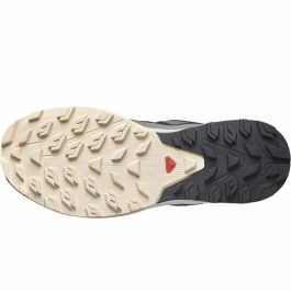 Zapatillas de Running para Adultos Salomon Outrise Gore-Tex Gris