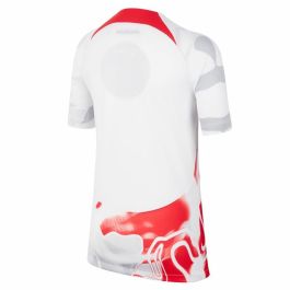 Camiseta de Fútbol de Manga Corta Hombre Stadium RB Nike 1