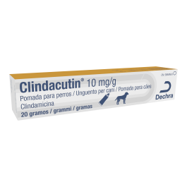 Clindacutin Ointment Paste 10 mg-G 20 gr Precio: 17.2272727. SKU: B1GXFPHVDC