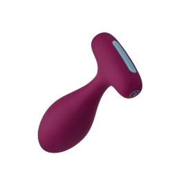 Plug Anal FemmeFunn Plua Fucsia