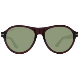 Gafas de Sol Hombre Serengeti SS527004 56