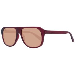 Gafas de Sol Hombre Serengeti SS535004 57 Precio: 141.69000054. SKU: B15VPMRLZL