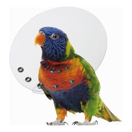 Collar Isabelino para Pájaros KVP Saftshield Transparente (15,9-19 cm)