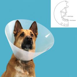 Collar Isabelino para Perros KVP Quick Fit Transparente (27-31 cm)