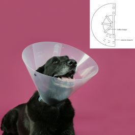 Collar Isabelino para Perros KVP Betsy Transparente (22-26 cm)
