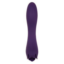 Vibrador Evolved Morado