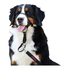 Collar de Adiestramiento para Perros Company of Animals Halti Negro Bozal (46-62 cm)
