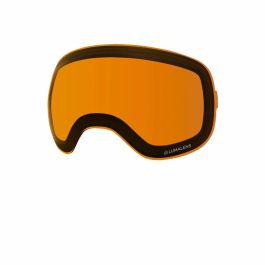 Gafas de Esquí Snowboard Dragon Alliance X2 Dijon Gris Policarbonato