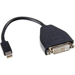 Adaptador Mini DisplayPort a DVI Lenovo 0B47090 Precio: 30.94999952. SKU: B1C3JZSHMQ