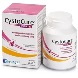 Cystocure forte 30 comprimidos (ndr) Precio: 35.4090913. SKU: B1CDVY2KGA