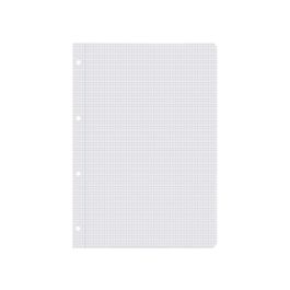 Recambio Liderpapel A4 100 Hojas 60 gr-M2 Cuadro 4 mm Con Margen Sin Taladros