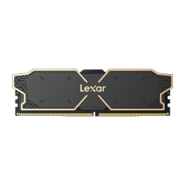 Lexar LD5U16G60C32LG-RGD módulo de memoria 32 GB 2 x 16 GB DDR5 6000 MHz ECC Precio: 129.49999953. SKU: B15JVYNA6Q