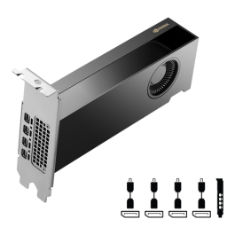 PNY Quadro RTX 2000 ADA 16GB (Retail)