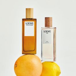 LOEWE POUR HOMME