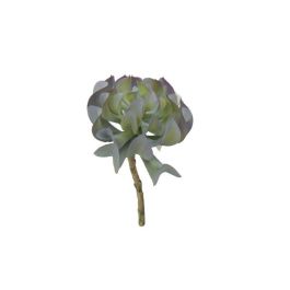 Planta Artificial Succulent Gris Plástico Precio: 2.95000057. SKU: B18J5AK5SZ