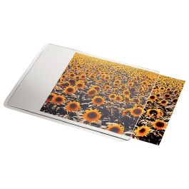 Alfombrilla Para Raton Esselte Transparente Personalizable 190x2x240 mm Precio: 10.50000006. SKU: B1GG65FMVP