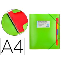 Carpeta Beautone 4 Anillas 25 mm Con 5 Separadores 3 Solapas Cierre Gomas Polipropileno Din A4 Color Verde