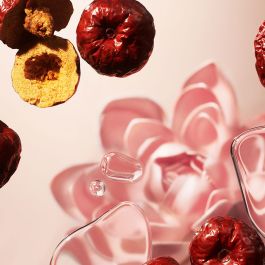 The ritual of jing shampoo 250 ml