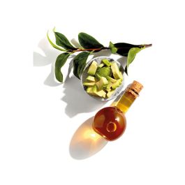 Garnier Nutrisse #3/30 Tinte Capilar Crème Castaño Oscuro. Con 3 Aceites Nutritivos y Cobertura Total de Canas. 3 U.