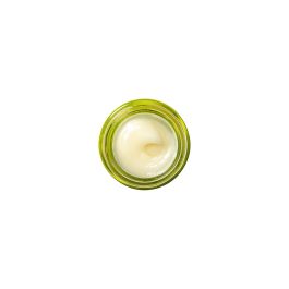 Drink up nourishing avocado lip butter 15 gr