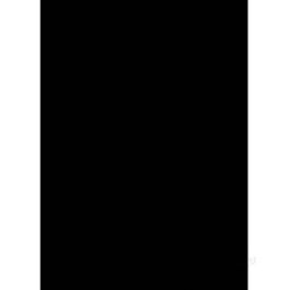 Caja de 100 Cubiertas Polipropileno Formato A4 de 300 Micras Color Negro GBC IB386831