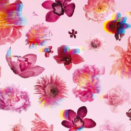 Flowerbomb V&R 300 mL Vapo Edp Flowerbomb V&R 300 mL Vapo Edp