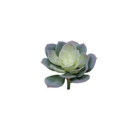 Planta Artificial Succulent Gris Plástico Precio: 1.9499997. SKU: B16HF2GGNG