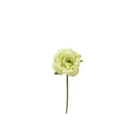 Flor Flamenca Rosa Abierta Verde Precio: 1.49999949. SKU: B1GF6PH2PQ