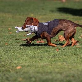 Chaqueta vaquera para perros XXS star wars talla XXS