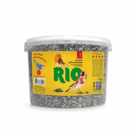 Rio semillas de girasol 2kg Precio: 12.6818186. SKU: B12438VTVD