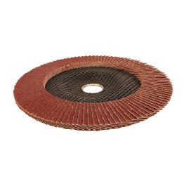 Disco láminas plano ø100x16mm 80 g. workpro Precio: 1.49999949. SKU: B16PTFW7RL