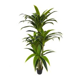 Planta Artificial Dracena 180 cm Verde Tela Precio: 114.95. SKU: B1A2GXP68W
