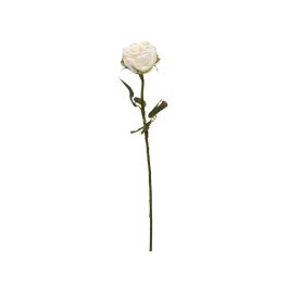 Flor Artificial Vara de Rosa Francesa Dry Blanco Tela Precio: 1.98999988. SKU: B12XSX2ZHX