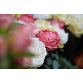 Flor Artificial Vara de Rosa Francesa Dry Coral Tela