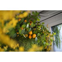 Flor Artificial Vara de Limonero 120 cm 5 Limones Amarillo Plástico