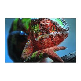 Epson EH-TW7100 Proyector 4K PRO-UHD, 3000 Lúmenes, 3-LCD, Blanco