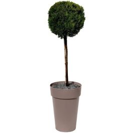 EDA Jarrón Maceta Tuscany Polipropileno Ø 46xH 65 cm 67 L Taupe | Resistente Heladas y UV, Interior/Exterior, Hecho en Francia