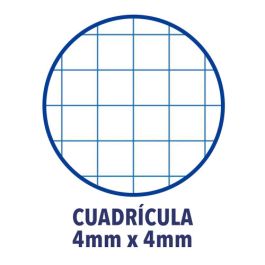 Oxford cuaderno espiral classic white&erase 80h 4º 90 gr 4x4mm t/extraduras c/surtidos Oxford cuaderno espiral classic white&erase 80h 4º 90 gr 4x4mm t/extraduras c/surtidos