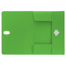 Carpeta Leitz 46220055 Verde A4 (1 unidad)