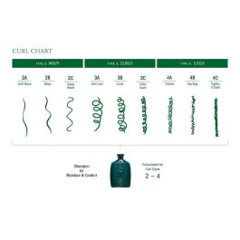 Champú Oribe 811913011713 250 ml