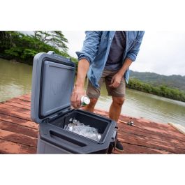 Ninja FB131EUGY FrostVault Nevera Portátil 28 L Gris con Asa de Transporte y Bloqueable
