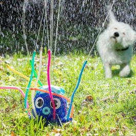 Pack Pelota Burbuja Hinchable Gigante Parachoques y Juguete Aspersor Rociador de Agua InnovaGoods