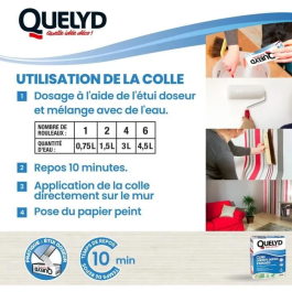 Quelyd QUE3549210001317 Pasta para empapelar en Polvo No Tejido para todo tipo de habitaciones, Aplicación en Paredes, Envase Dispensador 300 g