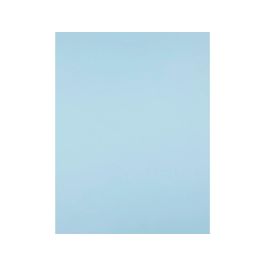 Cartulina Liderpapel 50x65 cm 180 gr-M2 Azul 125 unidades