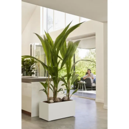 Elho ELH8711904499600 Jardinera Vivo Next Long 60, Blanco, L 59 x B 30 x H 29 cm, Interior/Exterior, 100% Reciclado