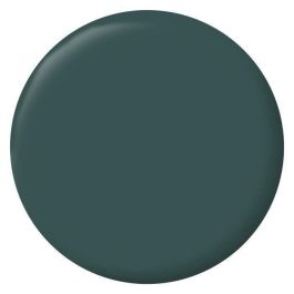 RIPOLIN Pintura de color terciopelo para paredes, carpintería de radiadores - Verde militar RIPOLIN Pintura de color terciopelo para paredes, carpintería de radiadores - Verde militar
