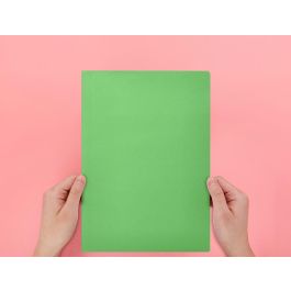 Subcarpeta Liderpapel Folio Verde Intenso 180 gr-M2 50 unidades
