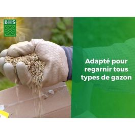 Césped - BHS - Regenerador de césped 5 kg Césped - BHS - Regenerador de césped 5 kg